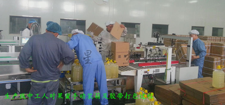 消防粉灌裝生產線，全自動粉末灌裝生產線